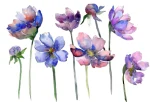 Main flower logo full pic white bkgd Main flower logo full pic white bkgd