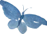 butterfly_16 butterfly_16
