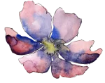 single bloom single bloom